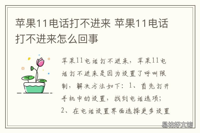 苹果11电话打不进来 苹果11电话打不进来也打不出去是怎么回事