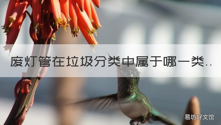廢燈管在垃圾分類中屬于哪一類 廢燈管在垃圾分類中屬于啥