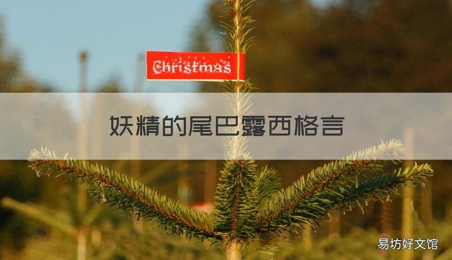 妖精的尾巴露西格言 妖精的尾巴语录经典语录