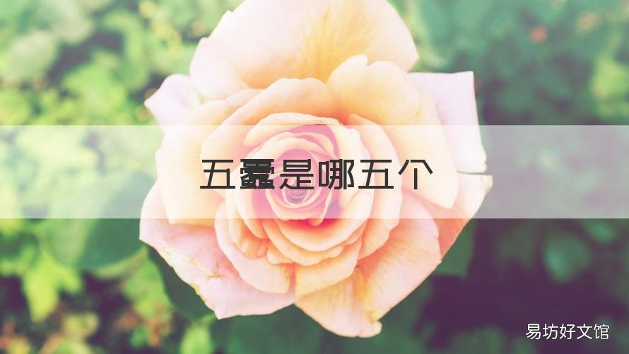 五蠹是哪五个 五蠹是哪五个害虫
