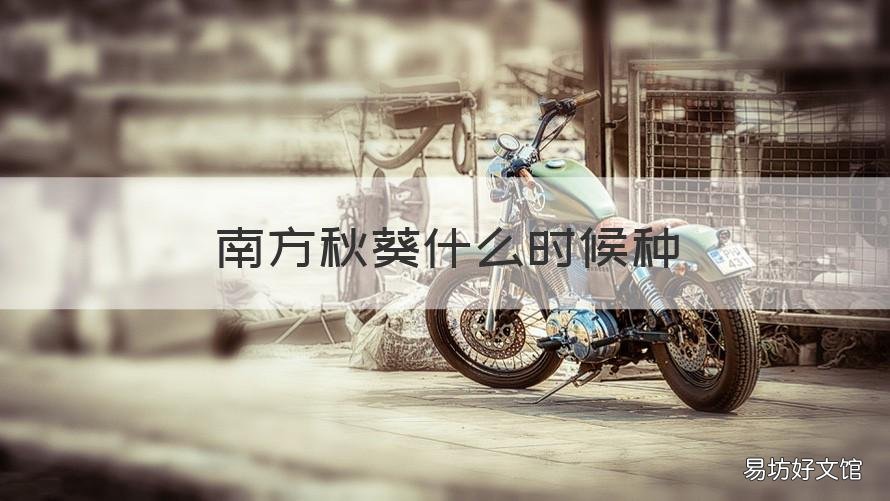 南方秋葵什么时候种 南方秋天可以种秋葵吗