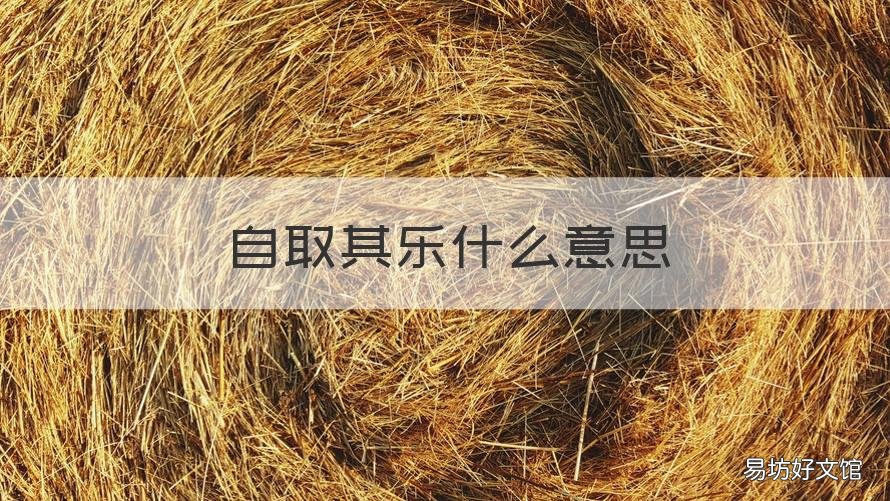 自取其乐什么意思 自取乐趣是什么意思