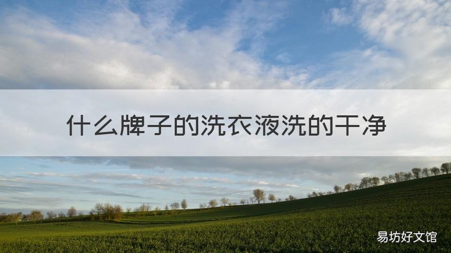 什么牌子的洗衣液洗的干净 什么牌子的洗衣液洗的干净又好用