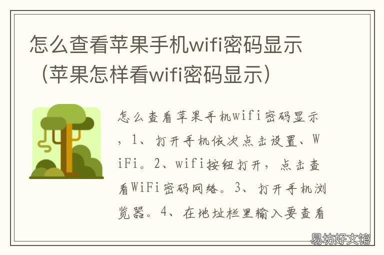 怎么查看苹果手机wifi密码显示 如何看到苹果手机的wifi密码