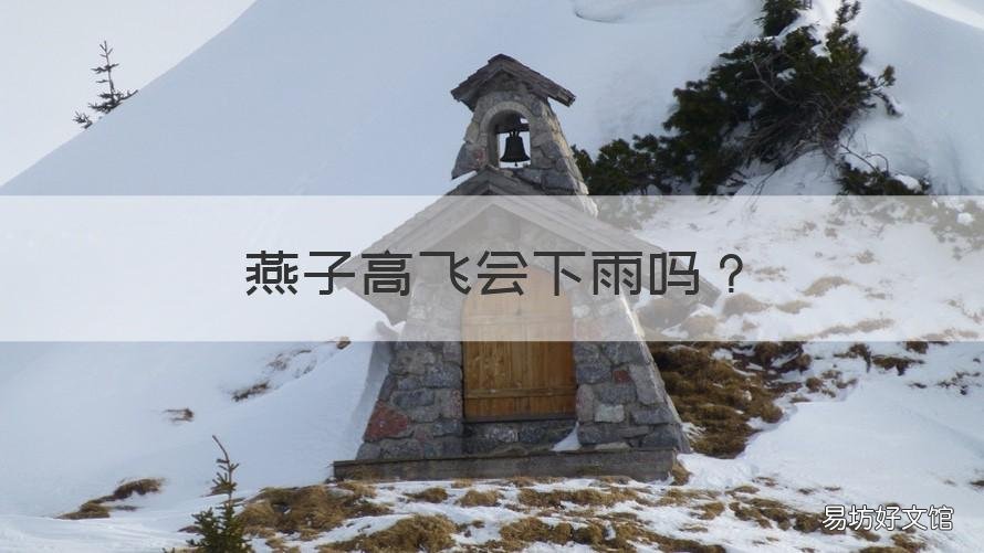 燕子高飞会下雨吗