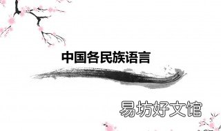 如何传承创造运用民族语言 关于如何传承民族语言