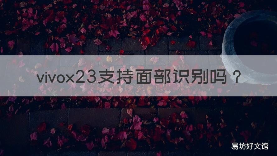 vivox23支持面部识别吗 vivou3x面部识别