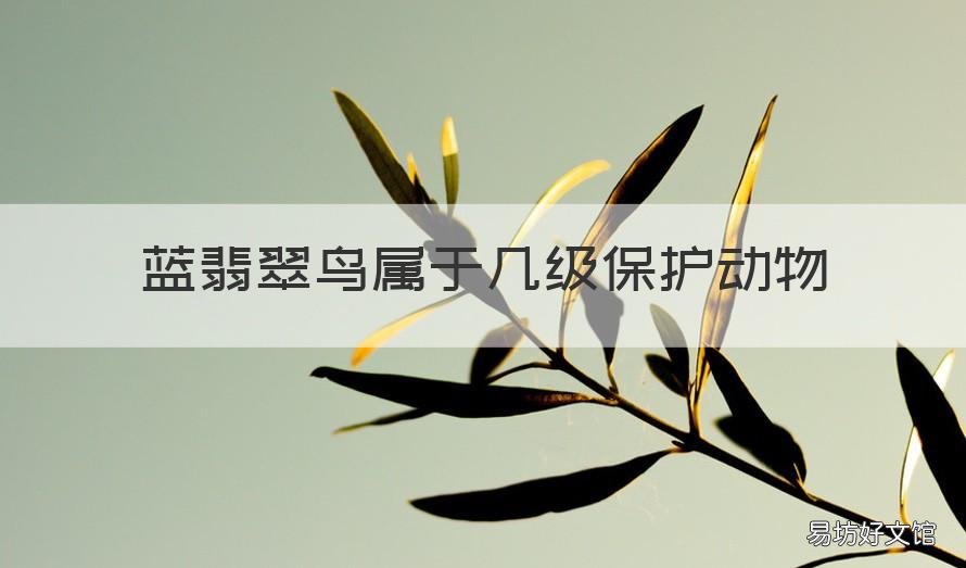 藍(lán)翡翠鳥屬于幾級保護(hù)動物 藍(lán)翡翠鳥幾級保護(hù)動物犯法嗎