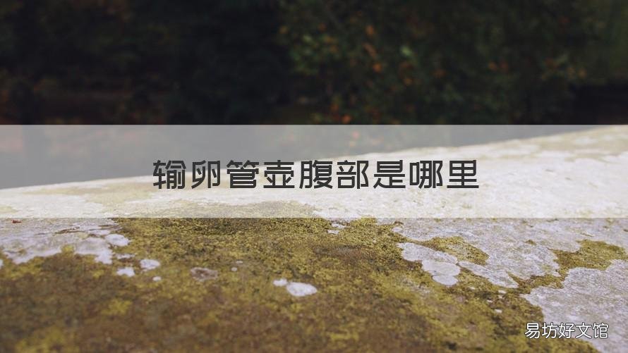 输卵管壶腹部是哪里 输卵管壶腹部是哪里位置