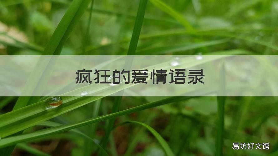 疯狂的爱情语录 疯狂的爱情说说