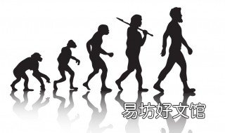 我们的祖先是如何进化来的 我们的祖先是怎么进化的