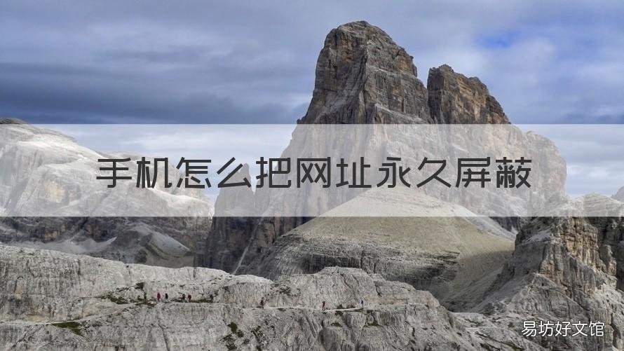 手机怎么把网址永久屏蔽 手机如何彻底屏蔽一个网址