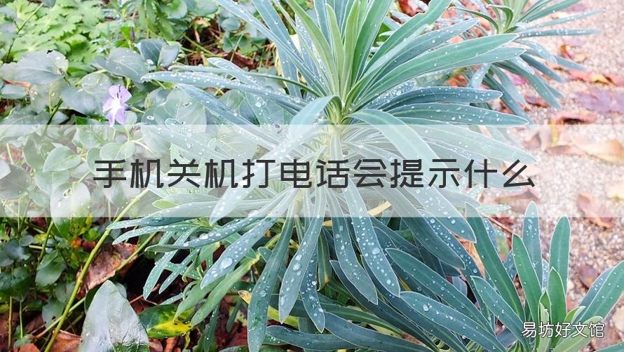 手机关机打电话会提示什么 手机关机打电话会提示什么vivo