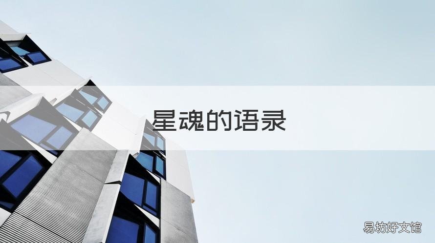 星魂的语录 灵魂的语录