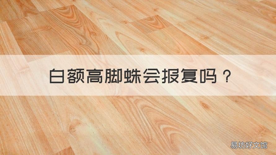 白额高脚蛛会报复吗 白额高脚蛛打死会倒霉吗