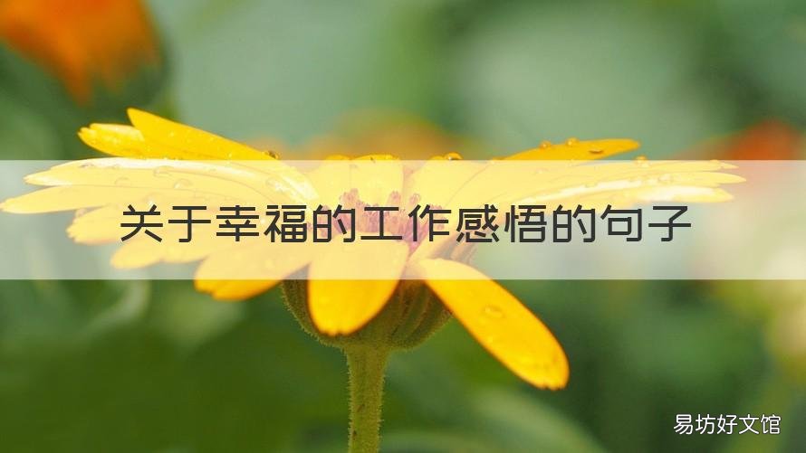关于幸福的工作感悟的句子 关于幸福的工作感悟的句子有哪些