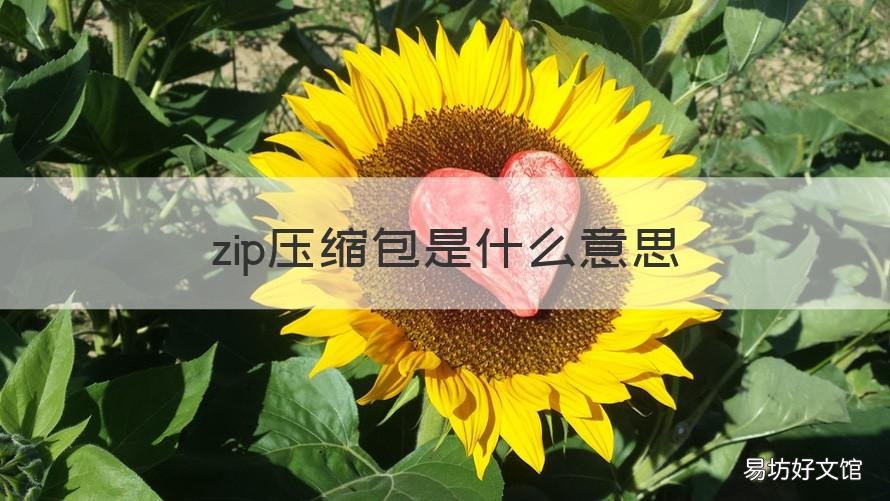 zip压缩包是什么意思 zip是什么