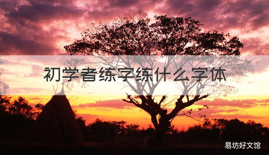初學(xué)者練字練什么字體 初學(xué)者練字練什么楷體