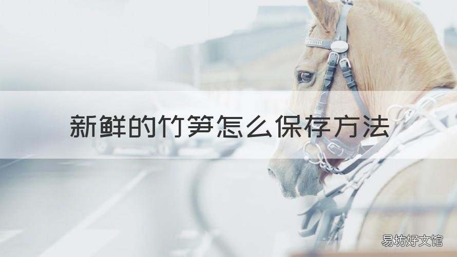 新鲜的竹笋怎么保存方法 请问新鲜竹笋怎么保存