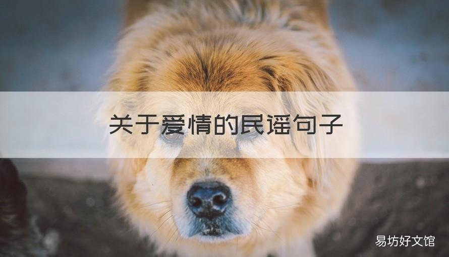 關于愛情的民謠句子 愛情的歌謠