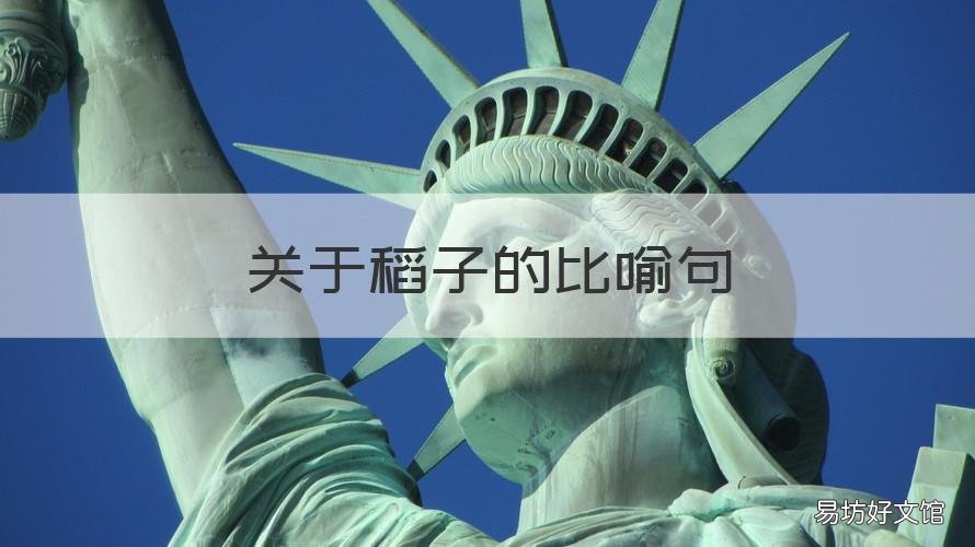 關(guān)于稻子的比喻句 關(guān)于稻谷的比喻句