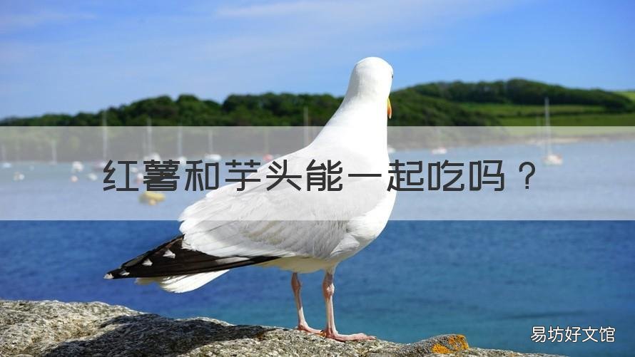 紅薯和芋頭能一起吃嗎 請問紅薯和芋頭能一起吃嗎