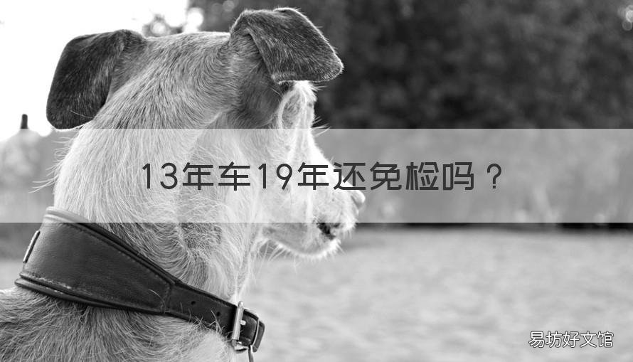 13年车19年还免检吗 13年买的车19年免检吗