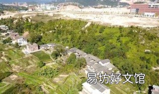 东阳官桥陈氏有几个分支 东阳陈氏起源
