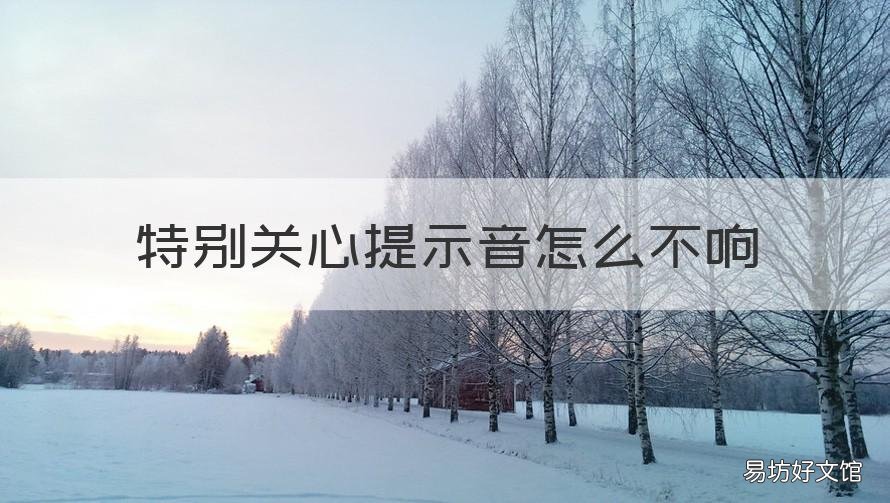 特別關(guān)心提示音怎么不響 為什么設(shè)置了特別關(guān)心提示音不響?