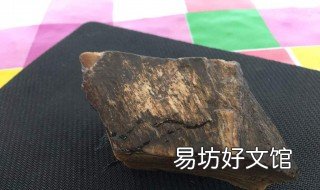 木化石有经济价值吗 什么木化石最值钱