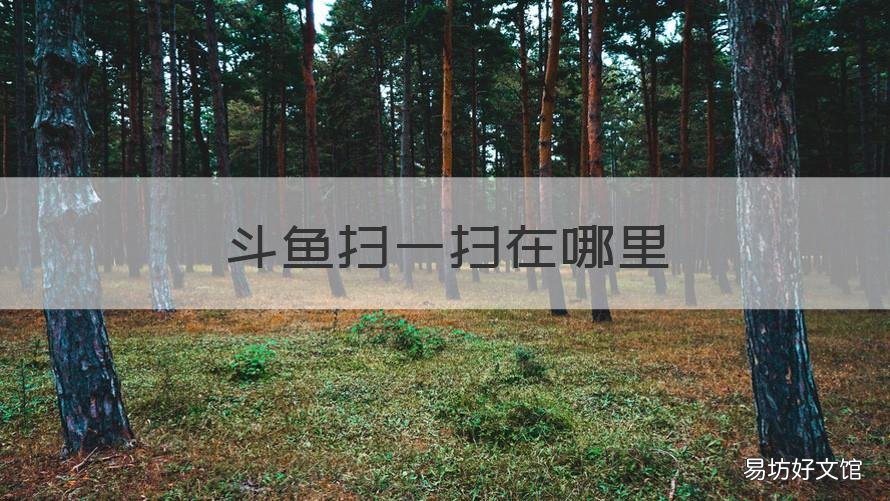 斗鱼扫一扫在哪里 斗鱼扫一扫在哪里找的
