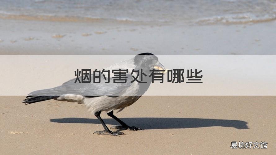 烟的害处有哪些 烟的坏处有什么