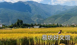 2019年大理洱海边的农田怎么规划