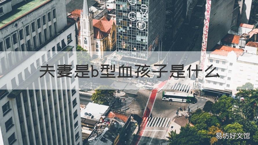 夫妻是b型血孩子是什么 B型血夫妻孩子是什么血型
