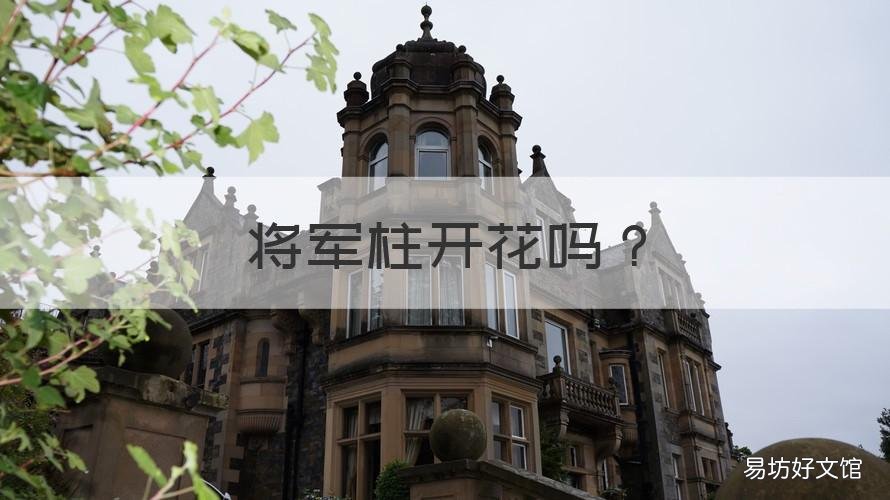 将军柱开花吗 将军柱是什么花
