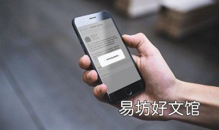 nzt是什么软件
