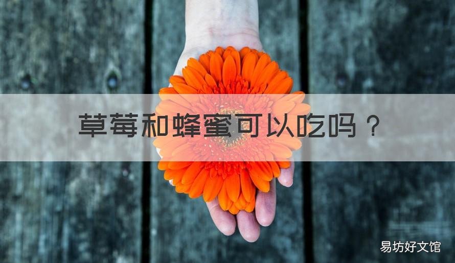 草莓和蜂蜜可以吃吗 喝蜂蜜可以吃草莓吗