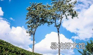 秋天太阳火辣辣是什么生肖 秋天太阳火辣辣是什么生肖波色