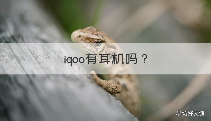 iqoo有耳机吗 iQOO耳机怎么样