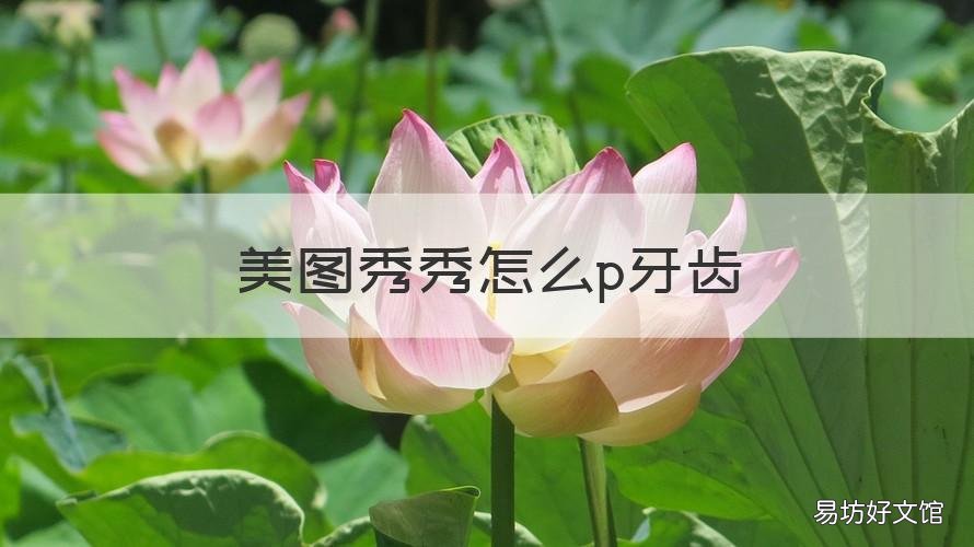 美图秀秀怎么p牙齿 美图秀秀p牙齿白