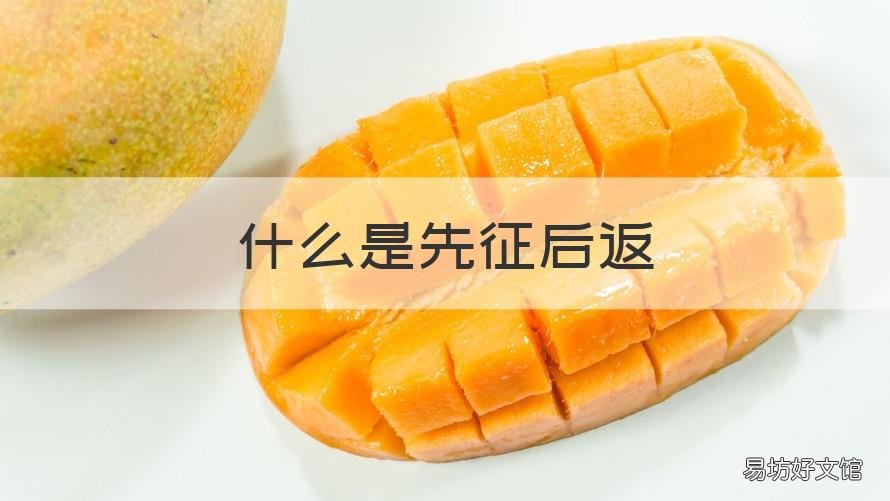什么是先征后返 先征后返和先征后退