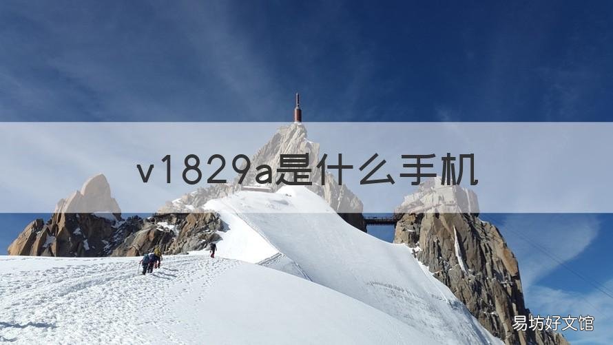 v1829a是什么手机 V1824A是什么手机