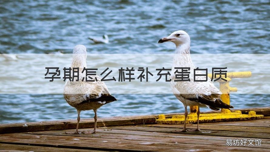 孕期怎么样补充蛋白质 孕妇要怎么补充蛋白质