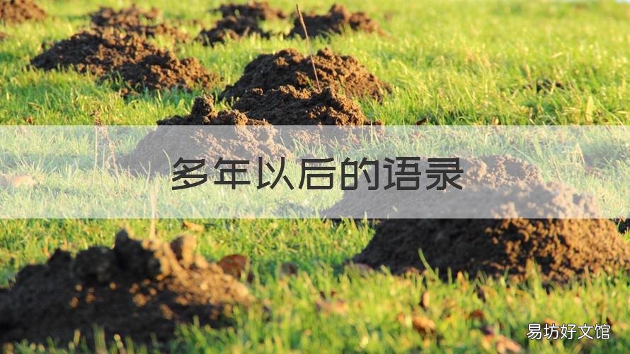 多年以后的语录 多年前多年后的语句