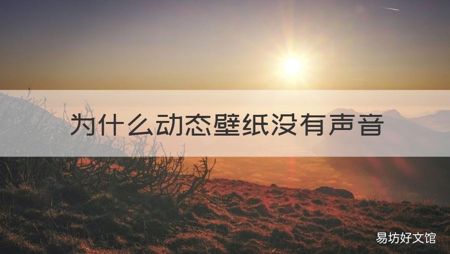 为什么动态壁纸没有声音 为什么动态壁纸没有声音 平果