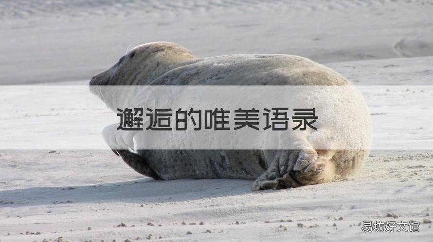 邂逅的唯美语录 邂逅的句子经典语录
