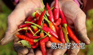 辣椒怎么腌制好吃又不变色 怎样腌辣椒不变黄