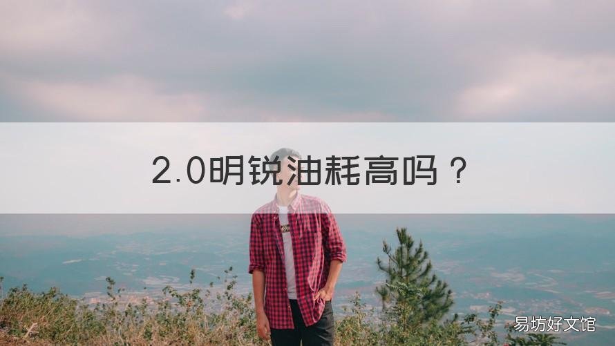 2.0明锐油耗高吗 明锐2.0手动油耗