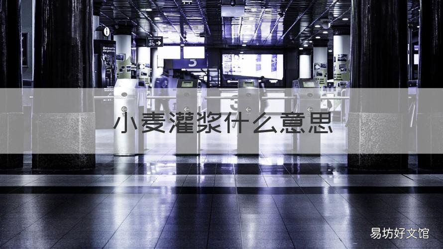 小麦灌浆什么意思 麦苗灌浆是什么意思