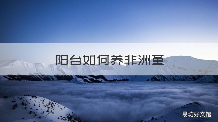 阳台如何养非洲堇 阳台如何养非洲堇兰花